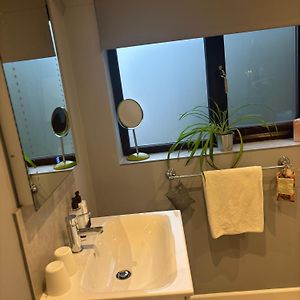 Family Room Bathroom
